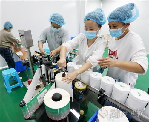 5G技术与生物科技融合 开启智能制造的生物产品新纪元
