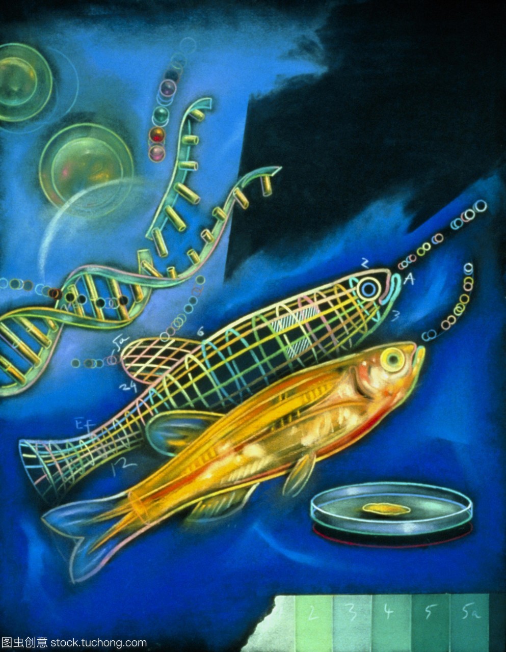 新波生物技术 解码分子世界的自然奇迹