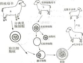 现代生物技术 初中生物测试题与答案解析