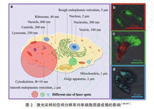 生物技术通报2021年1月最新上线文章精选 前沿生物技术进展概览